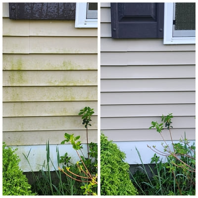 siding house cleaning