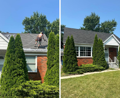 Asphalt shingle rejuvenation