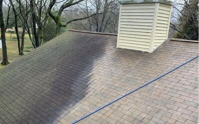 roof algee cleaning