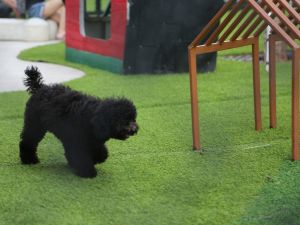 Outdoor Living in El Dorado Hills