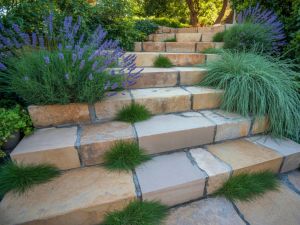 Landscaping in Sacramento