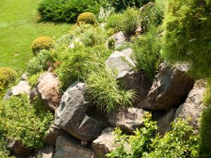 Landscaping in El Dorado Hills