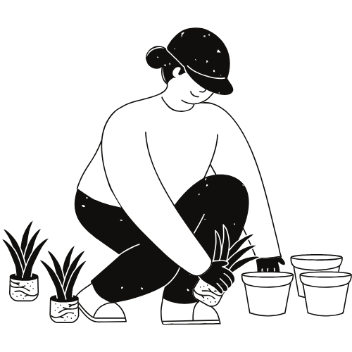 landscaping in Sacramento