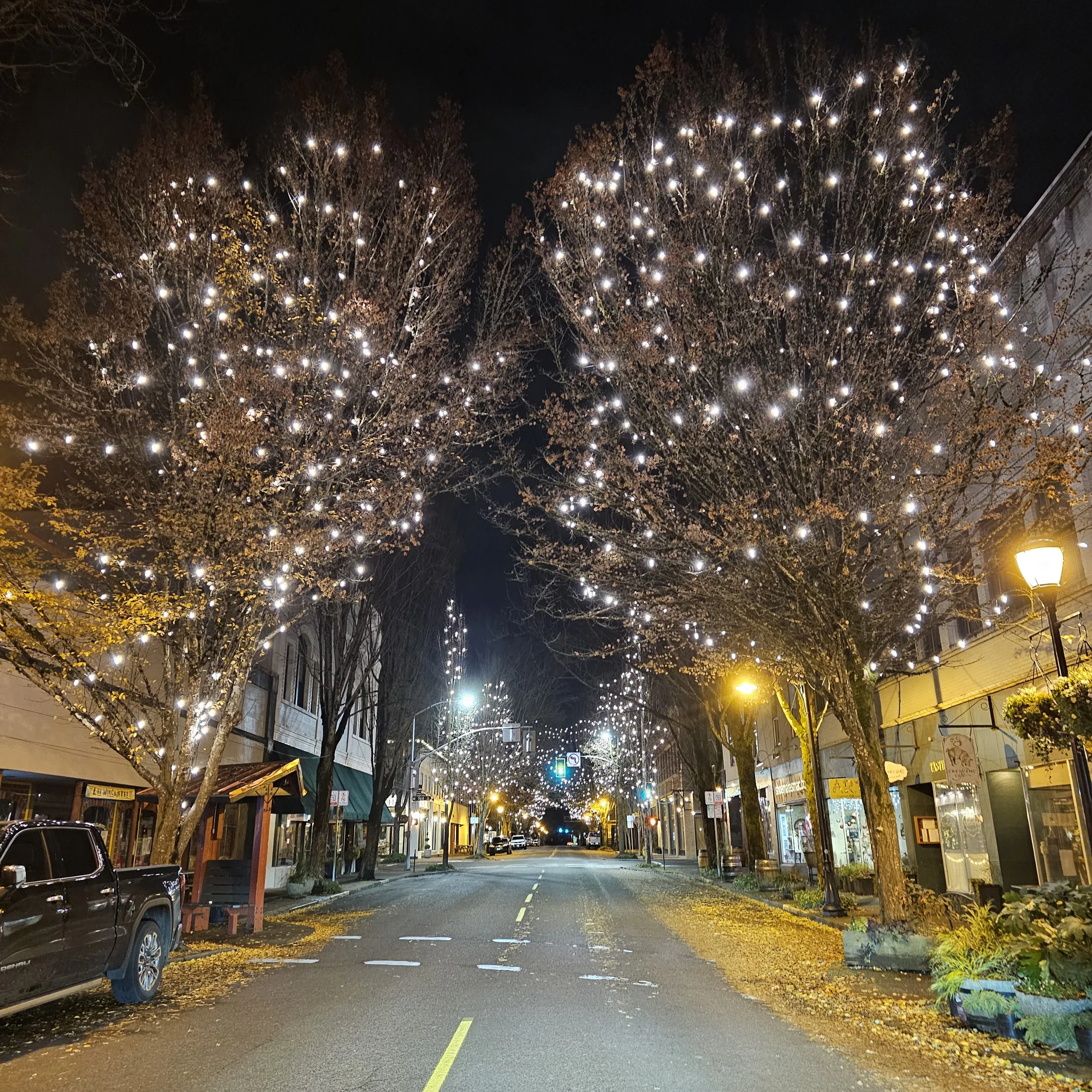 Commercial holiday light installation 3 by Premium Holiday Lights in Salem, OR, professional storefront and property lighting at night
