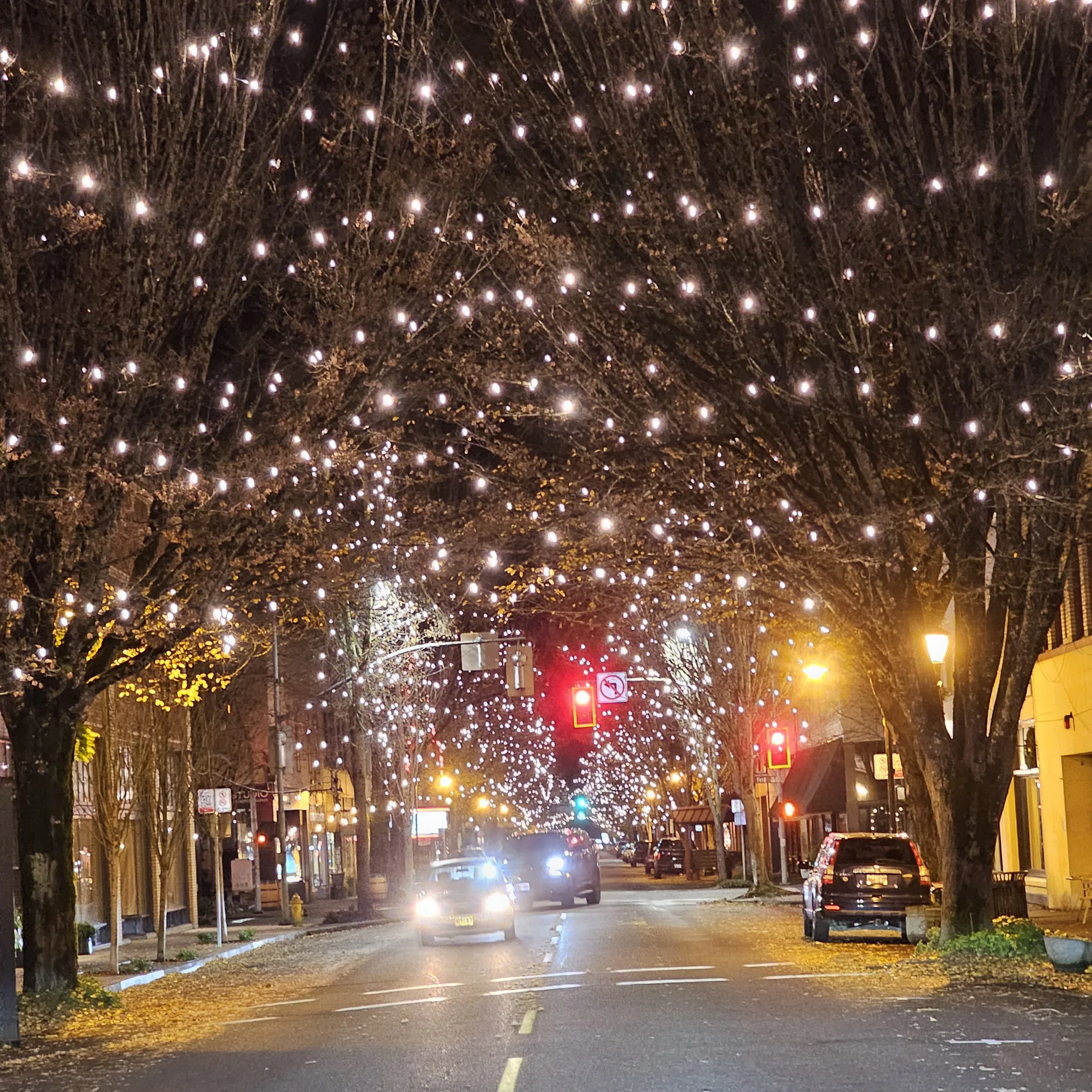 Commercial holiday light installation 4 by Premium Holiday Lights in Salem, OR, professional storefront and property lighting at night