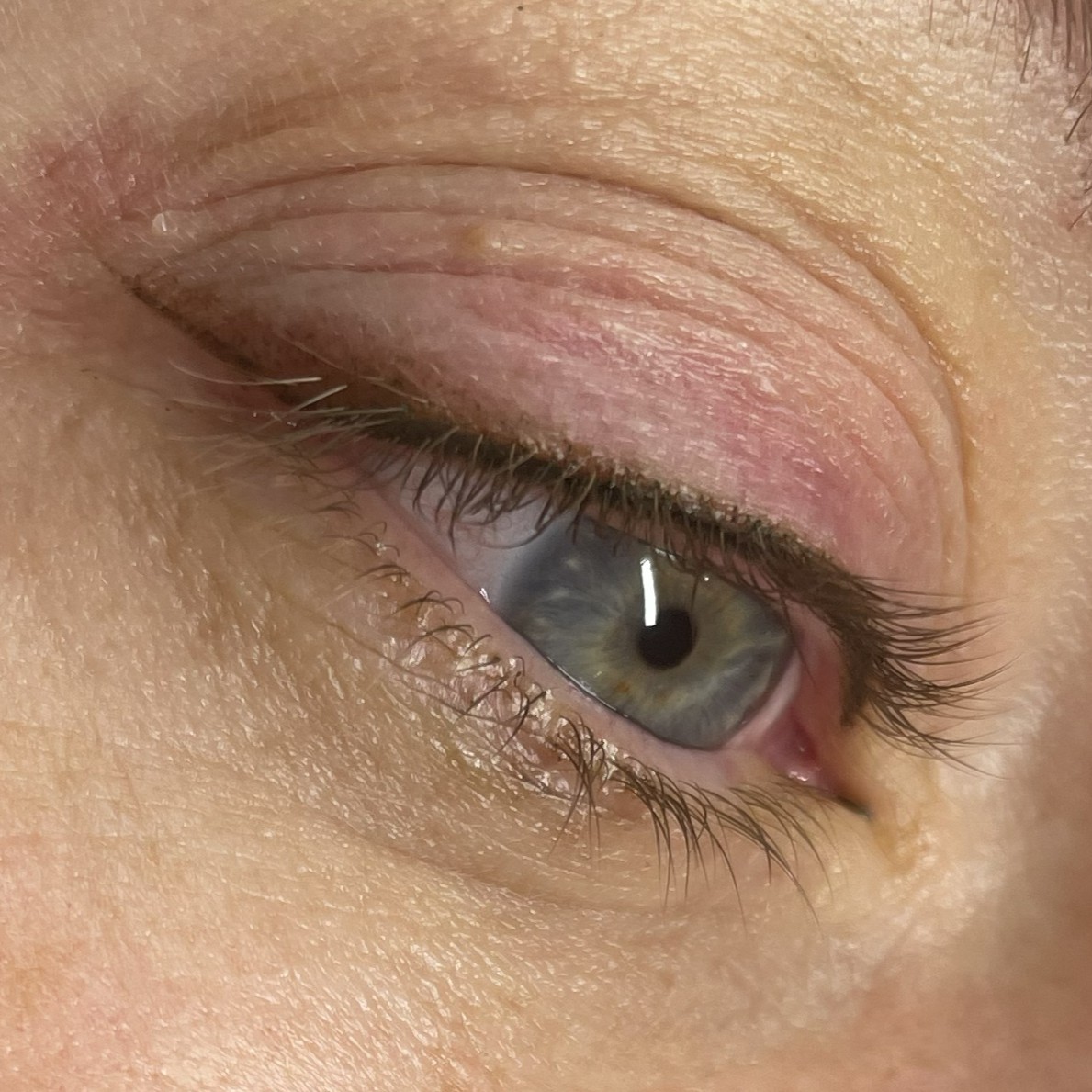 Antes y después de micropigmentación de ojos y eyeliner en Samarath Leganés