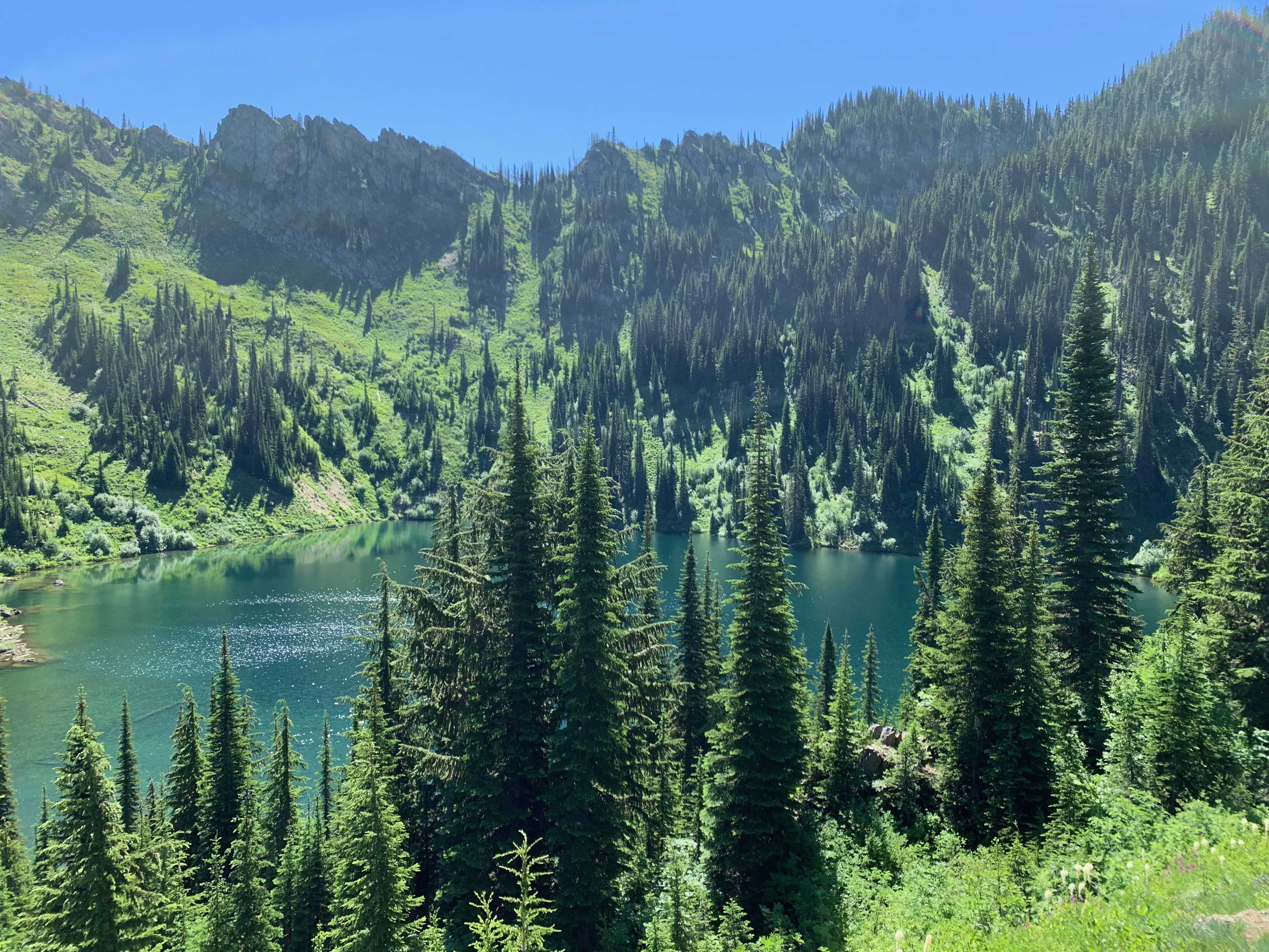 Panhandle lake and forest