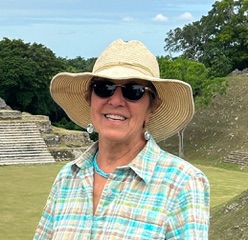 The Cost of Logging Our National Forests