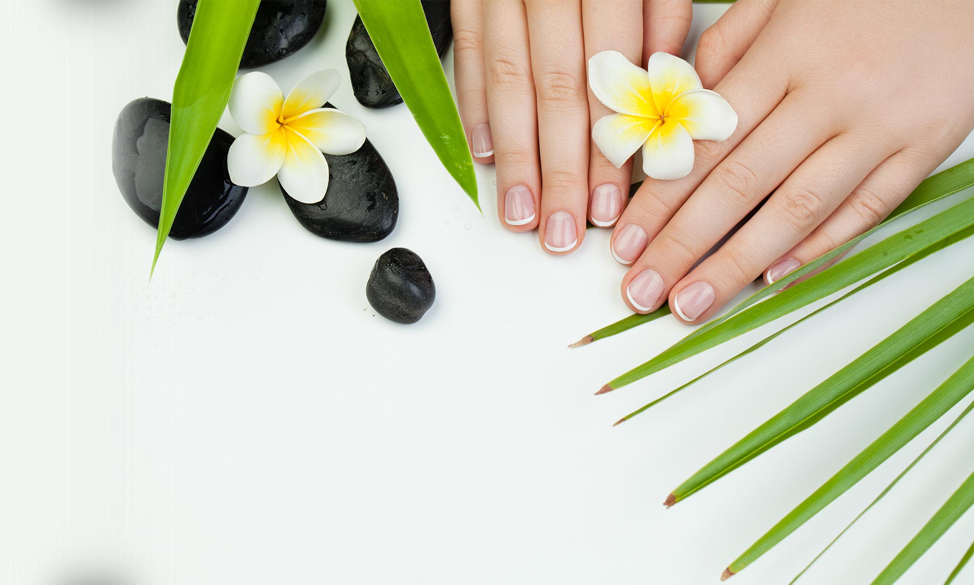 Herbal Nails and Spa Corona salon interior