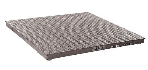 Rice Lake RoughDeck HP floor scale