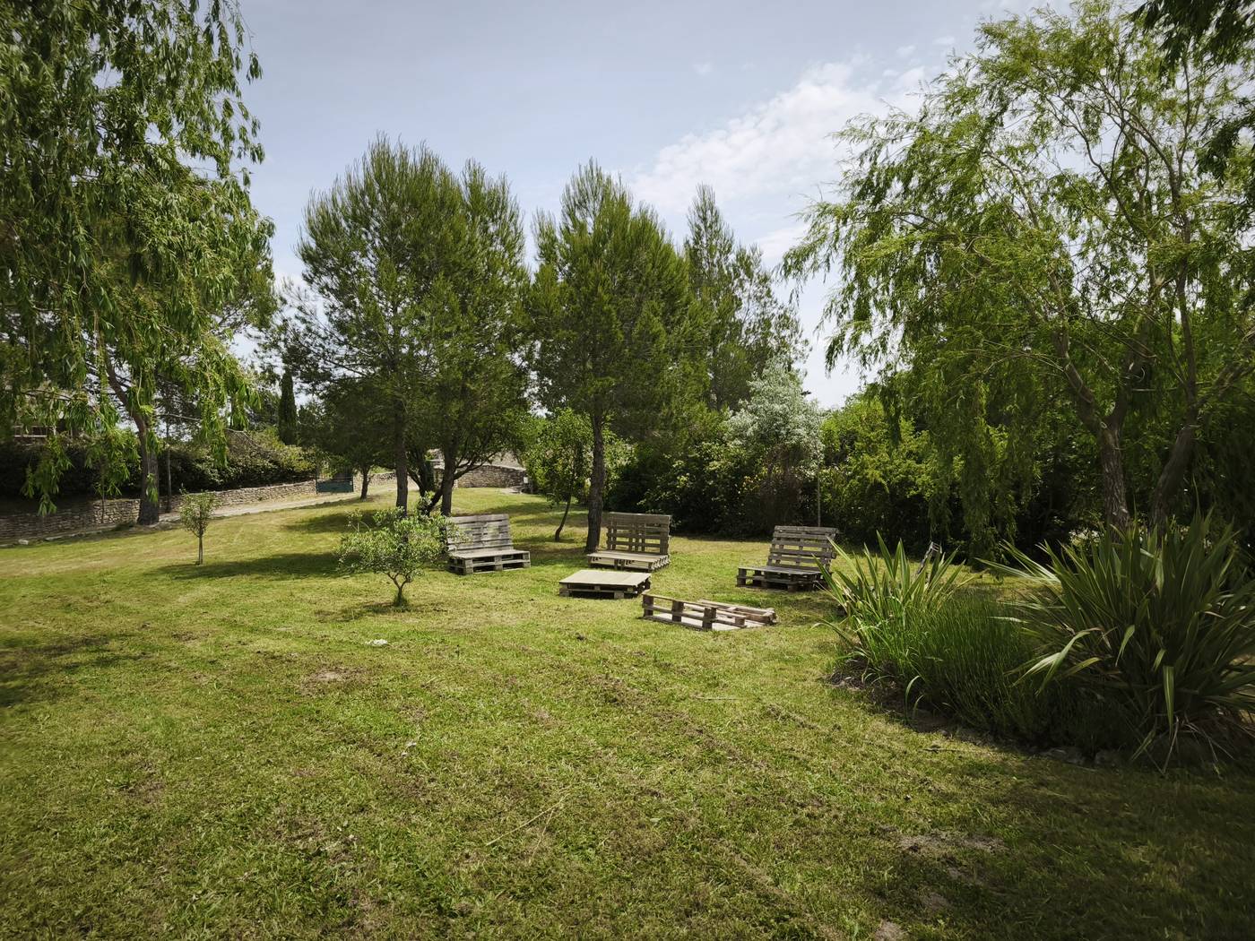 Grand parc tondu avec salons en palettes et oliviers