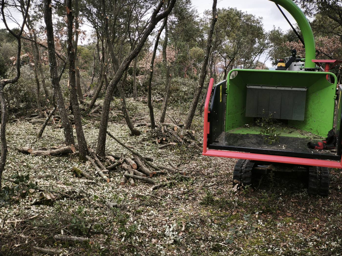 Broyeur de branches sur chenilles en action dans un sous-bois