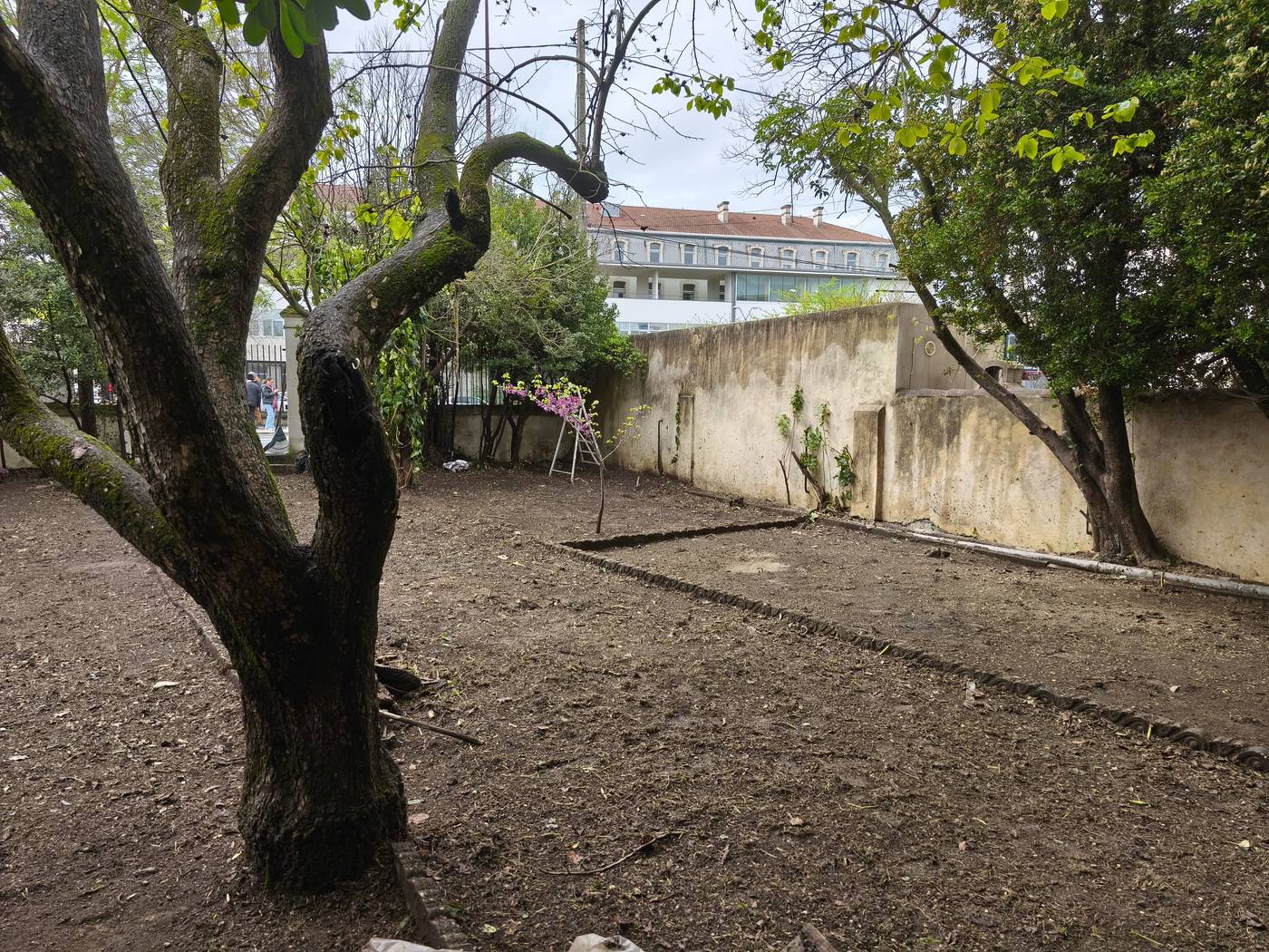 Jardin de ville remis en état, sol nettoyé et ratissé
