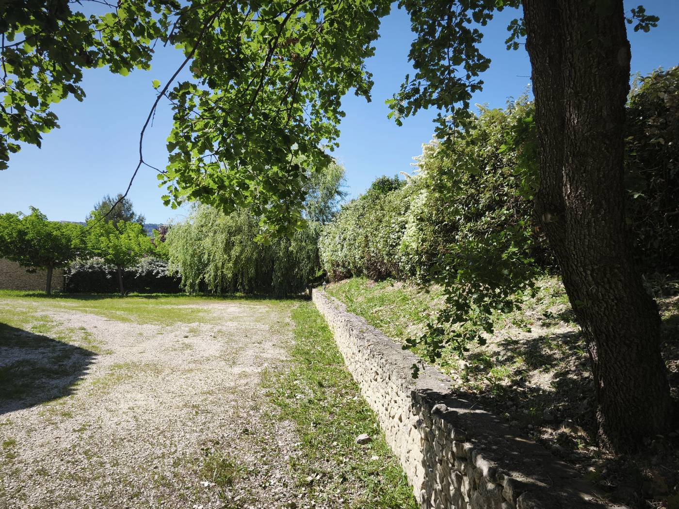 Jardin entretenu à Carpentras : allée en gravier, muret en pierre et haies taillées
