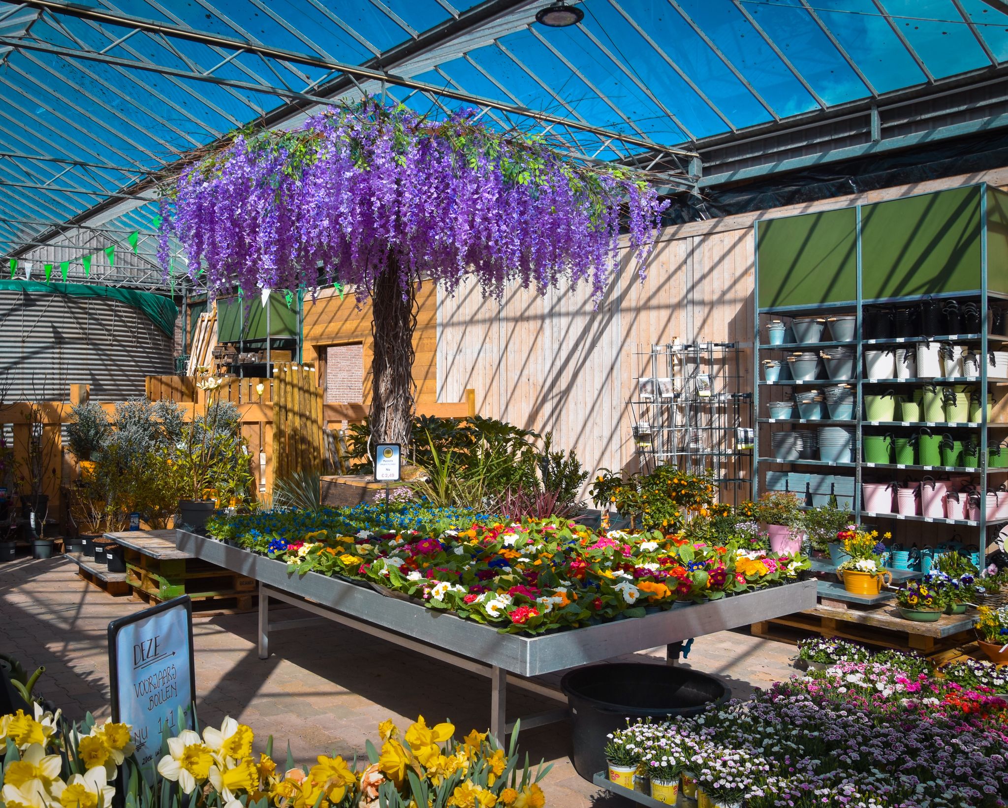 Verkoop van tuinplanten