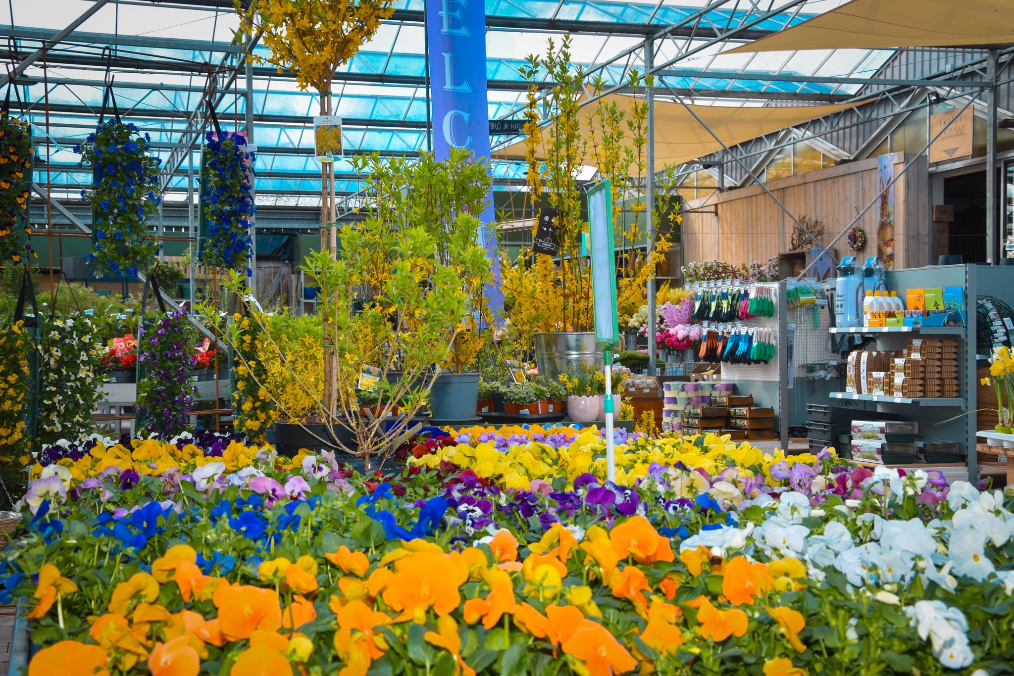 Prachtige groene tuin met gazon en borders