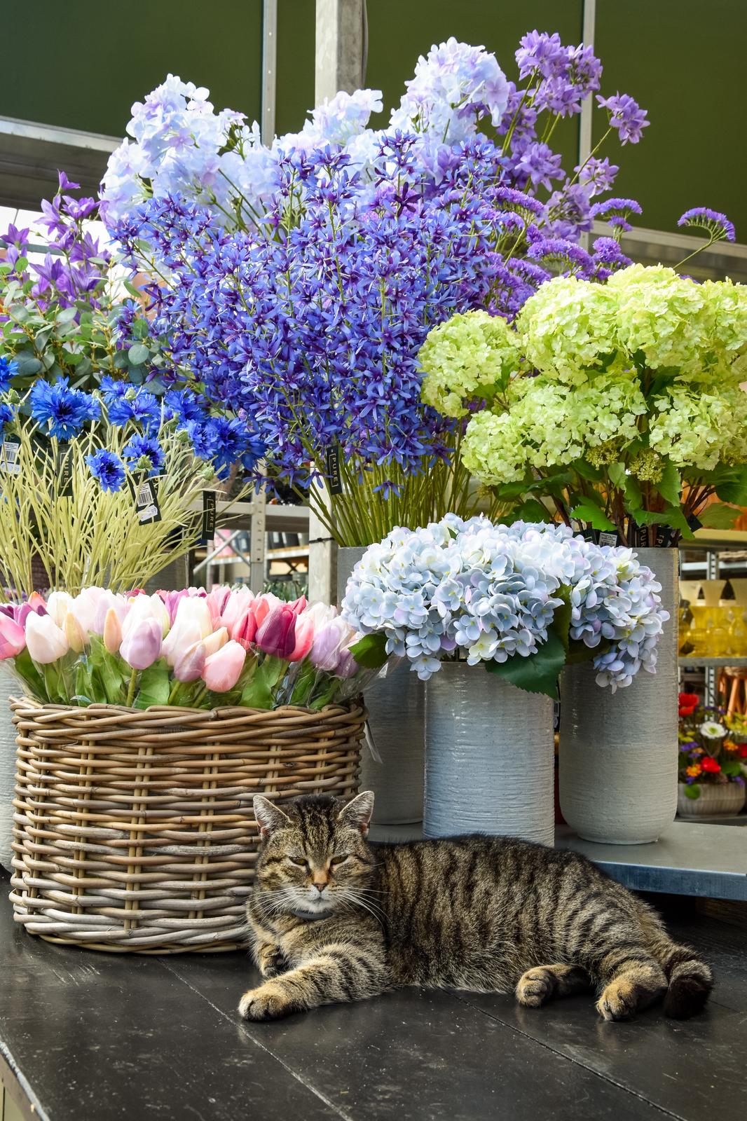 Inspiratie foto 20