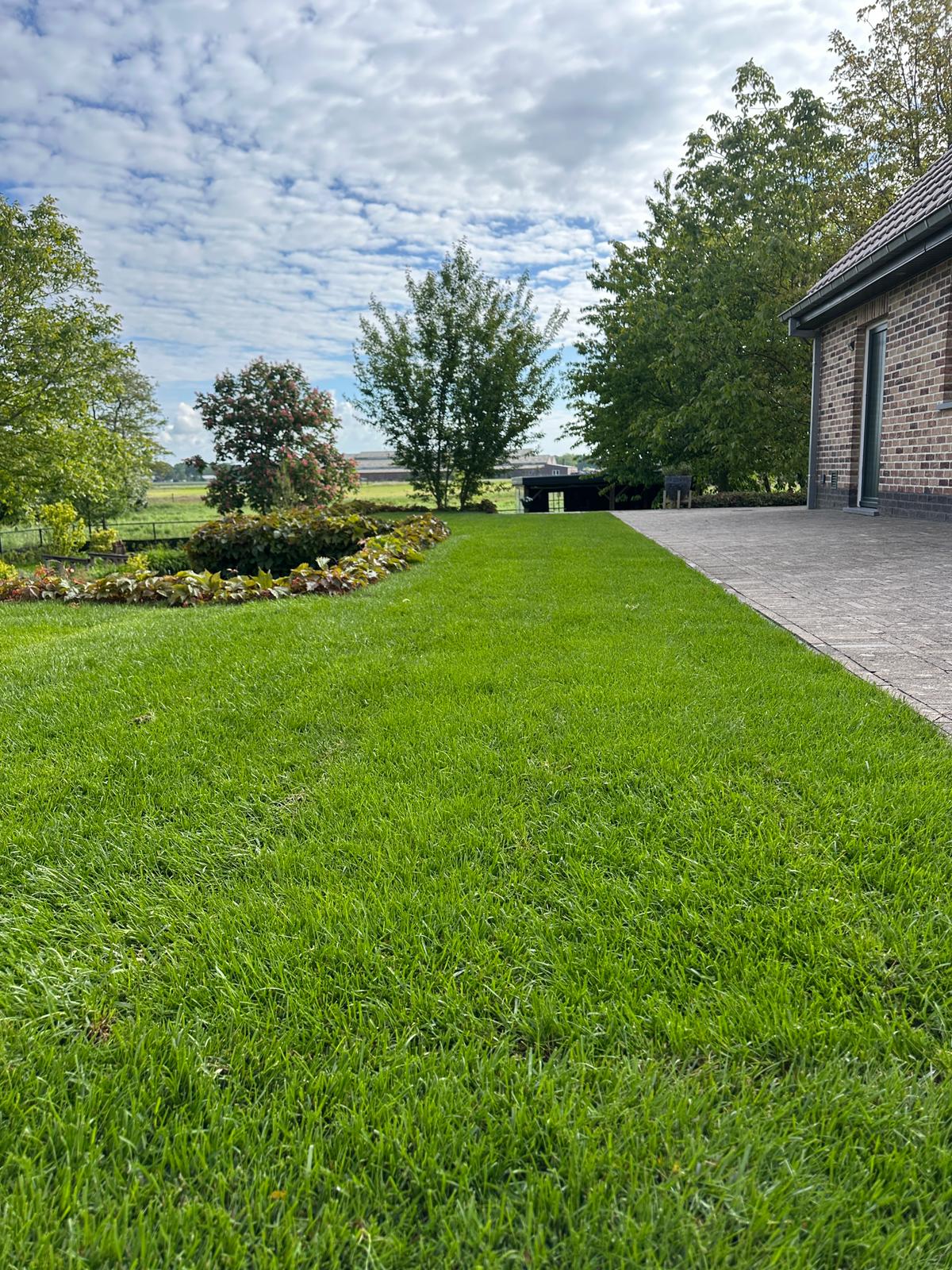 Tuinonderhoud & Boomverzorging