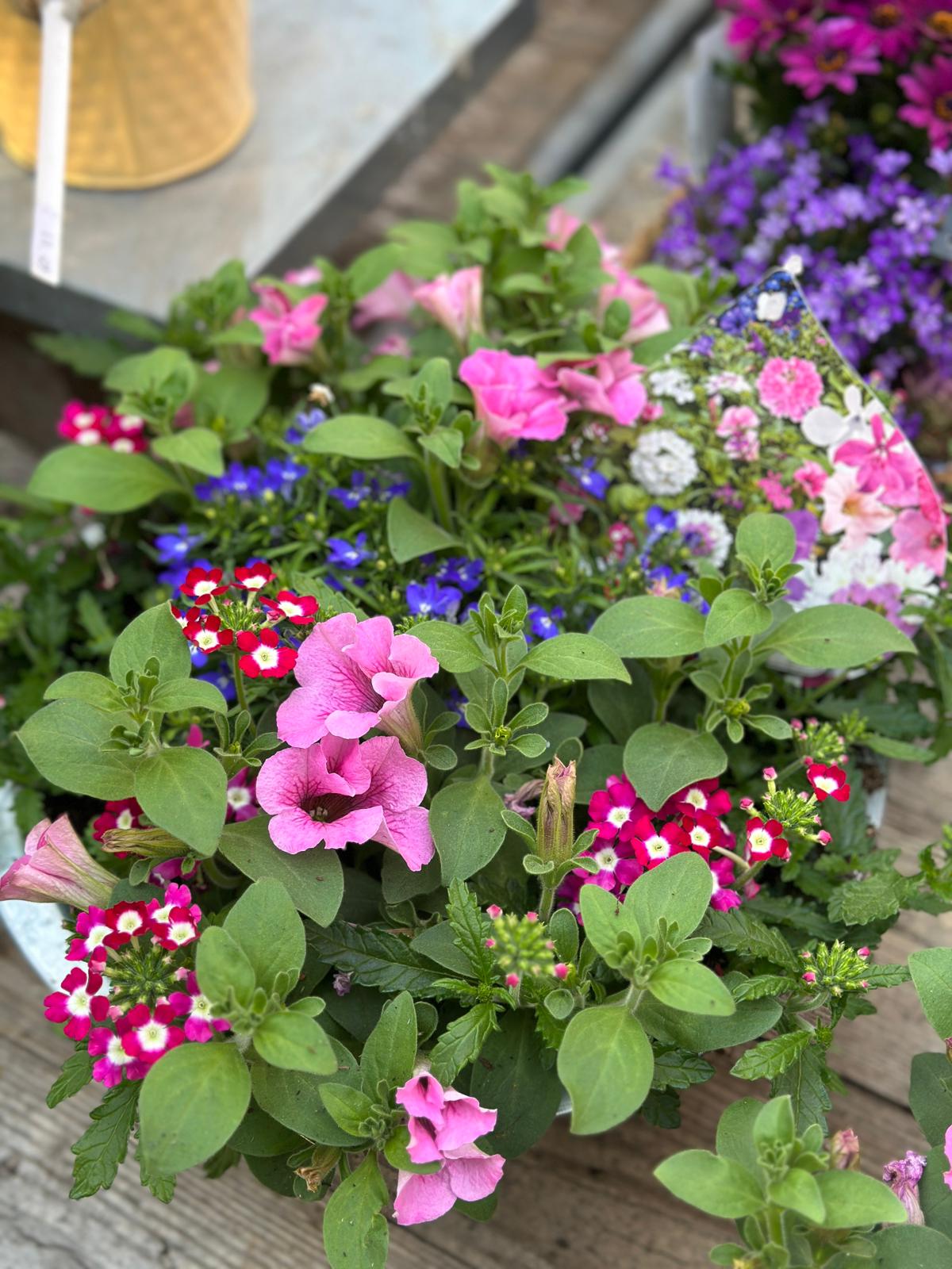 Inspiratie foto 41