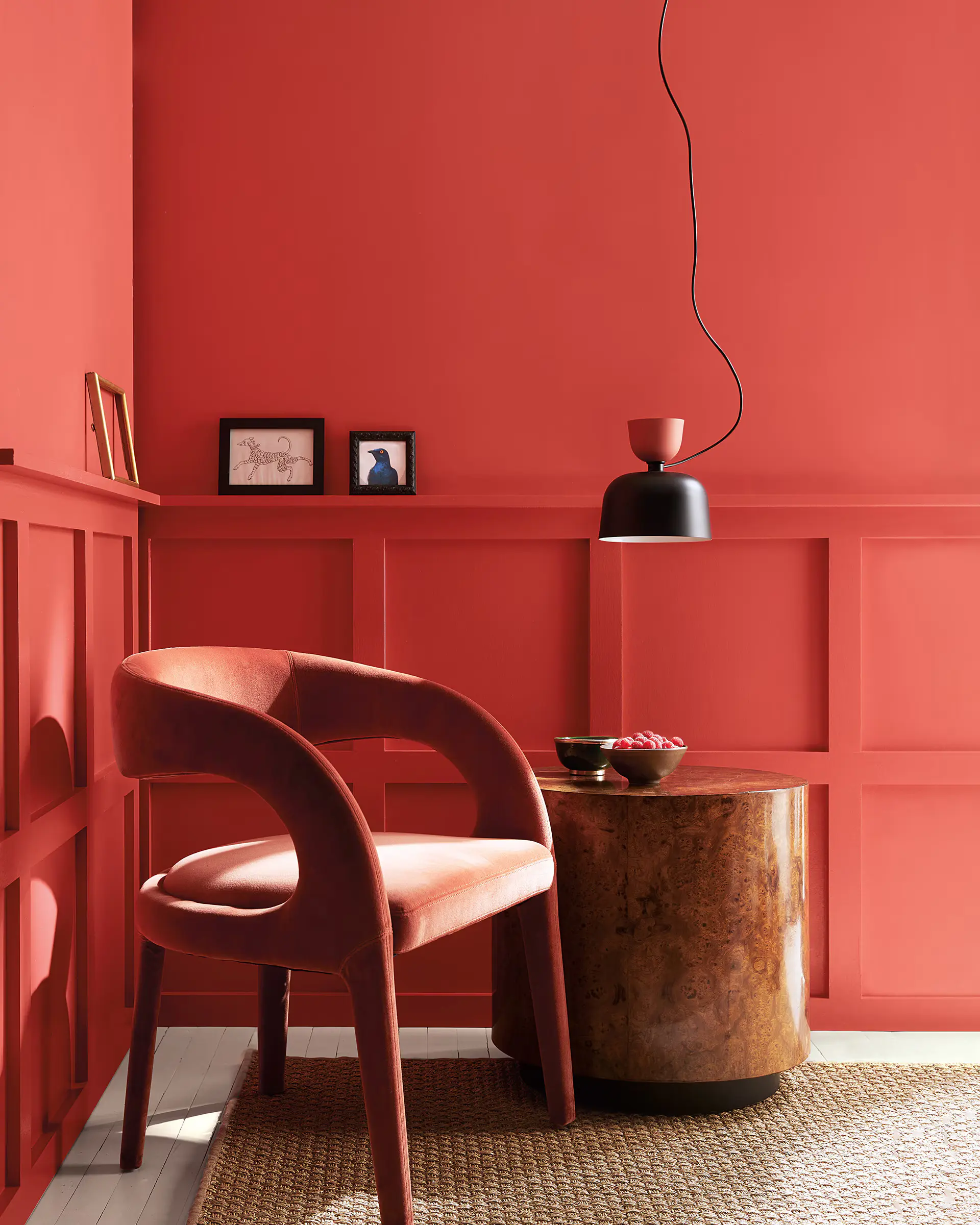 raspberry blush room by benjamin moore raspberry blush room by benjamin moore