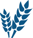 Agriculture Industry