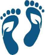 Reducing Carbon Footprint