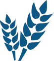 Agriculture and Farming