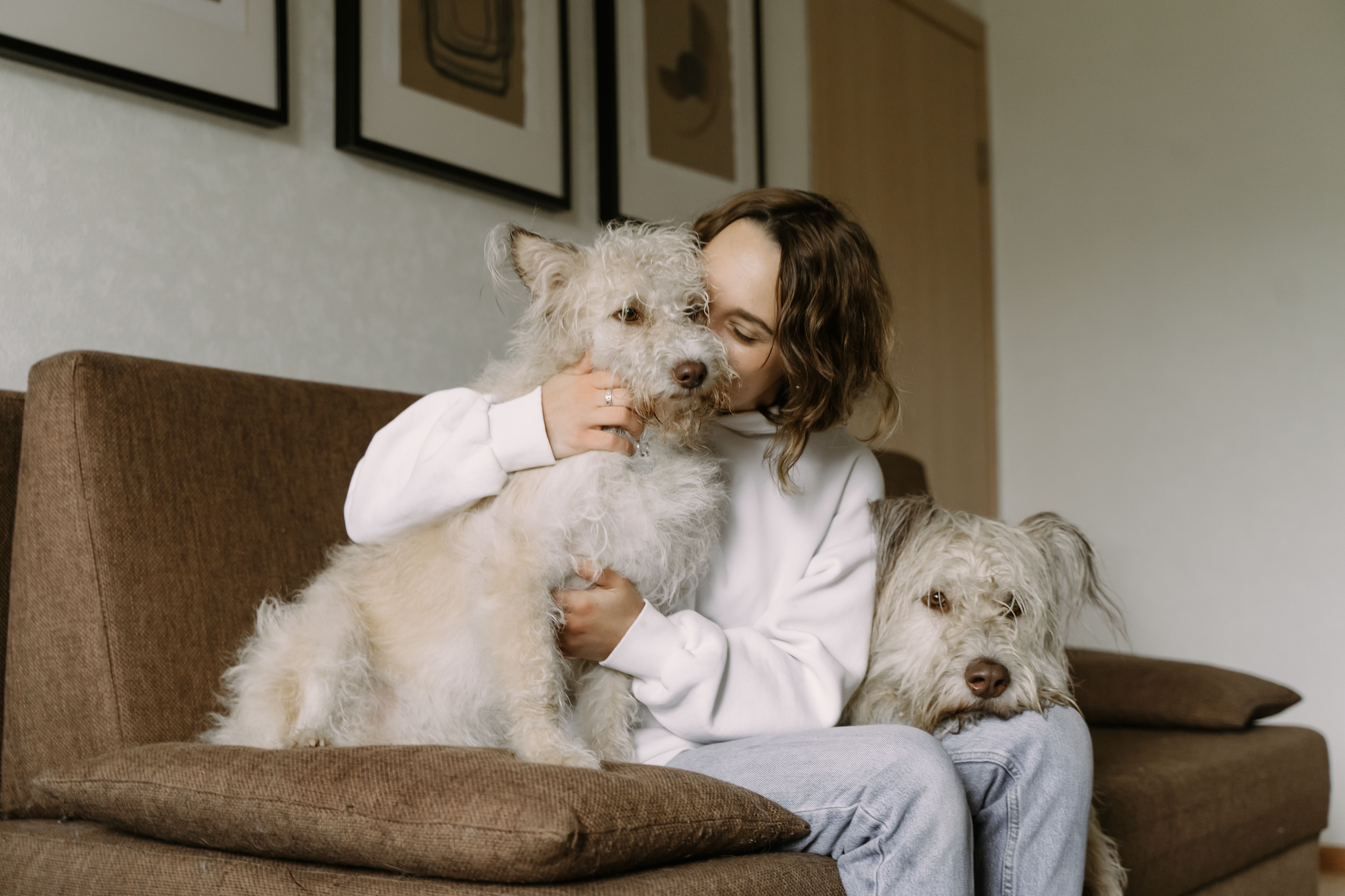 Daily Pet Care Tips for a Happy and Comfortable Companion