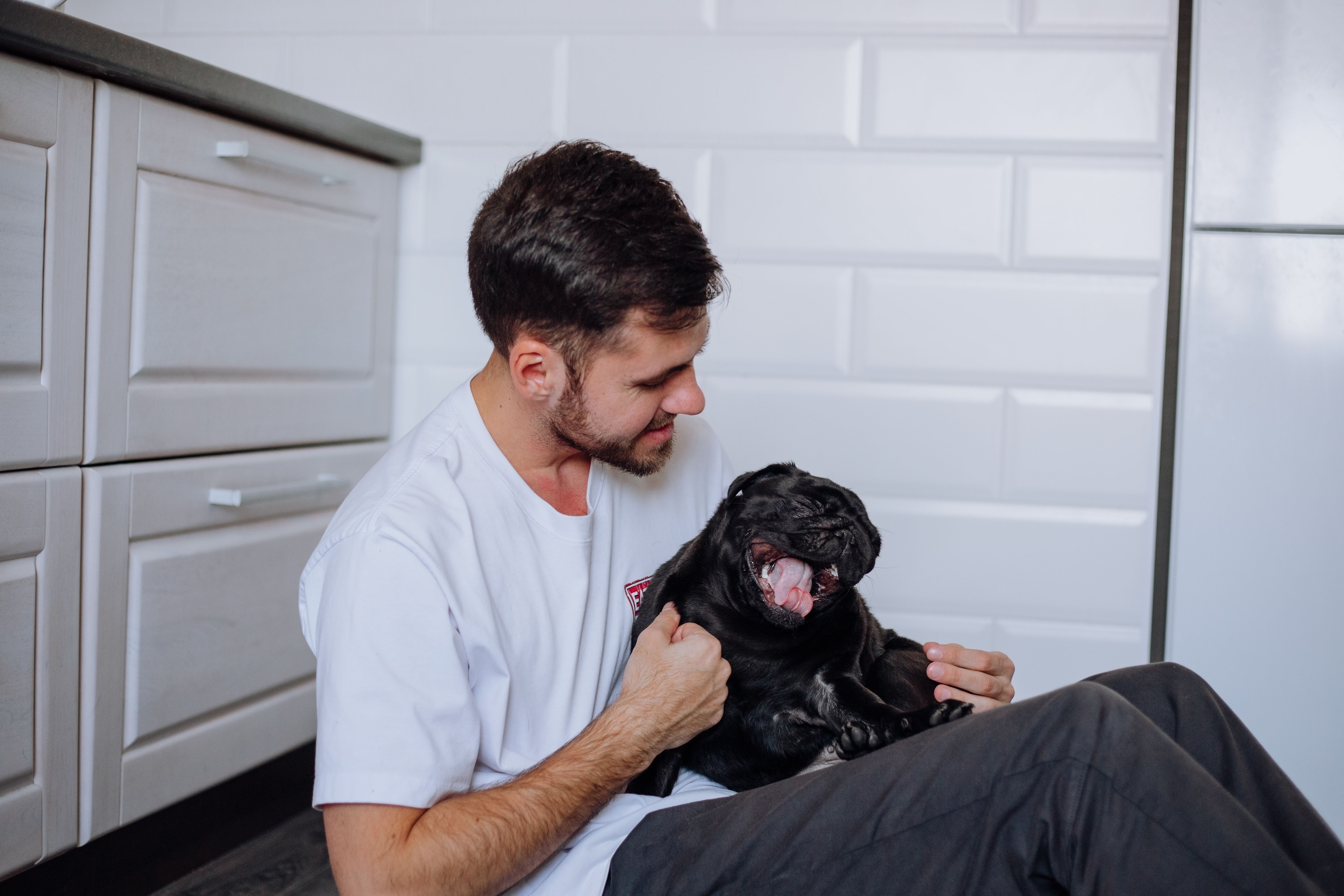 Simple Pet Ownership Tips That Make a Big Difference Every Day