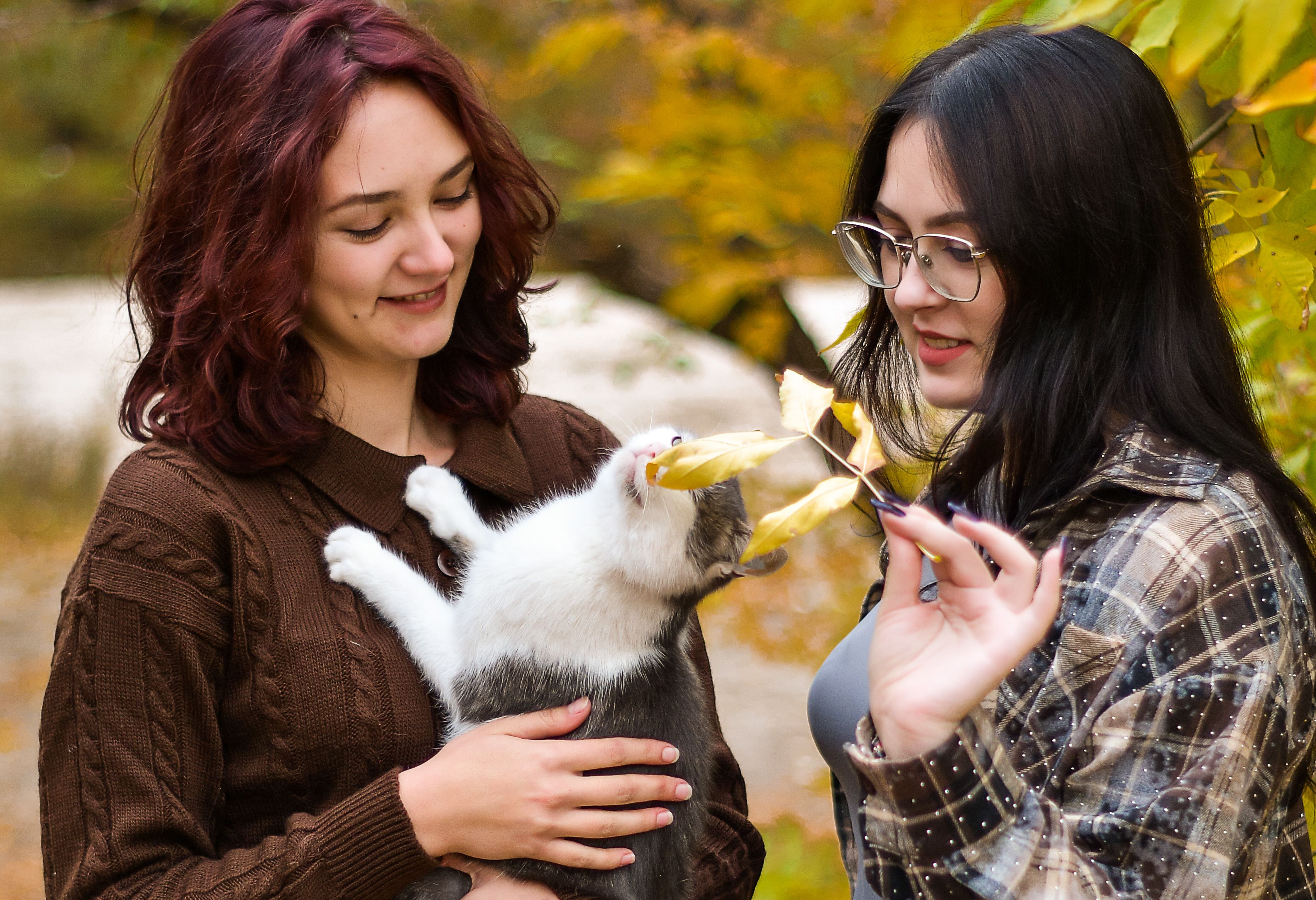 Are You Making These Common Pet Owner Mistakes?
