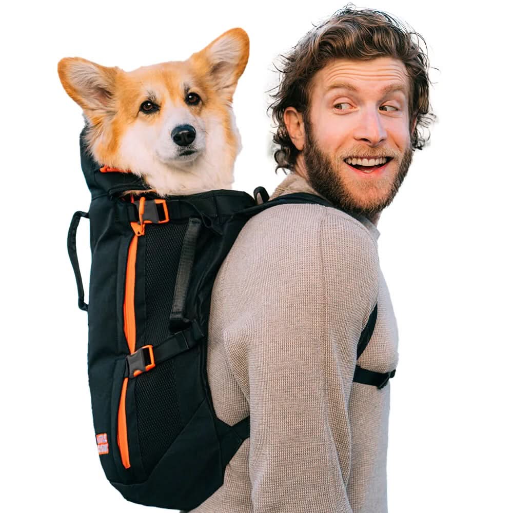 Little Chonk Review 2026: The Viral Dog Carrier Backpack That's Actually Worth It