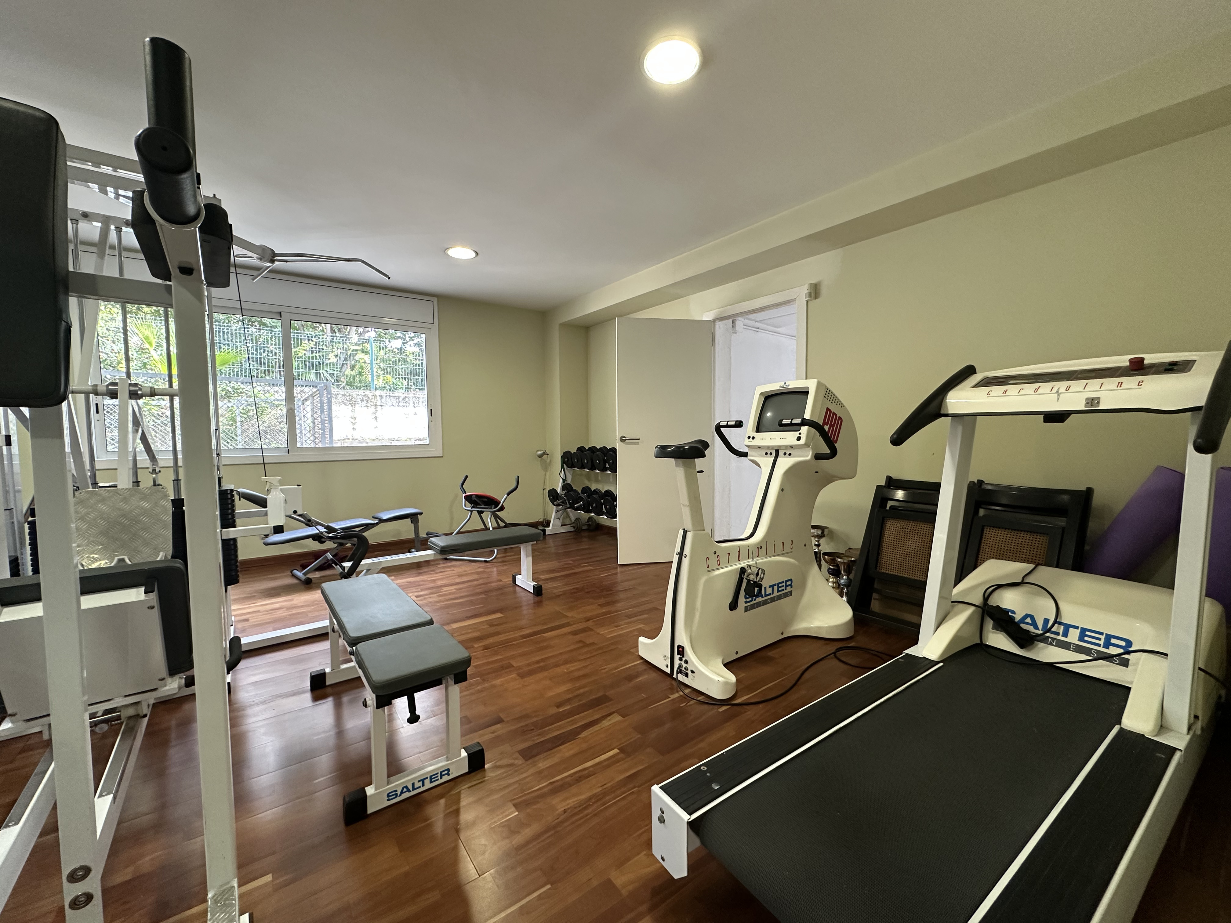 Gimnasio
