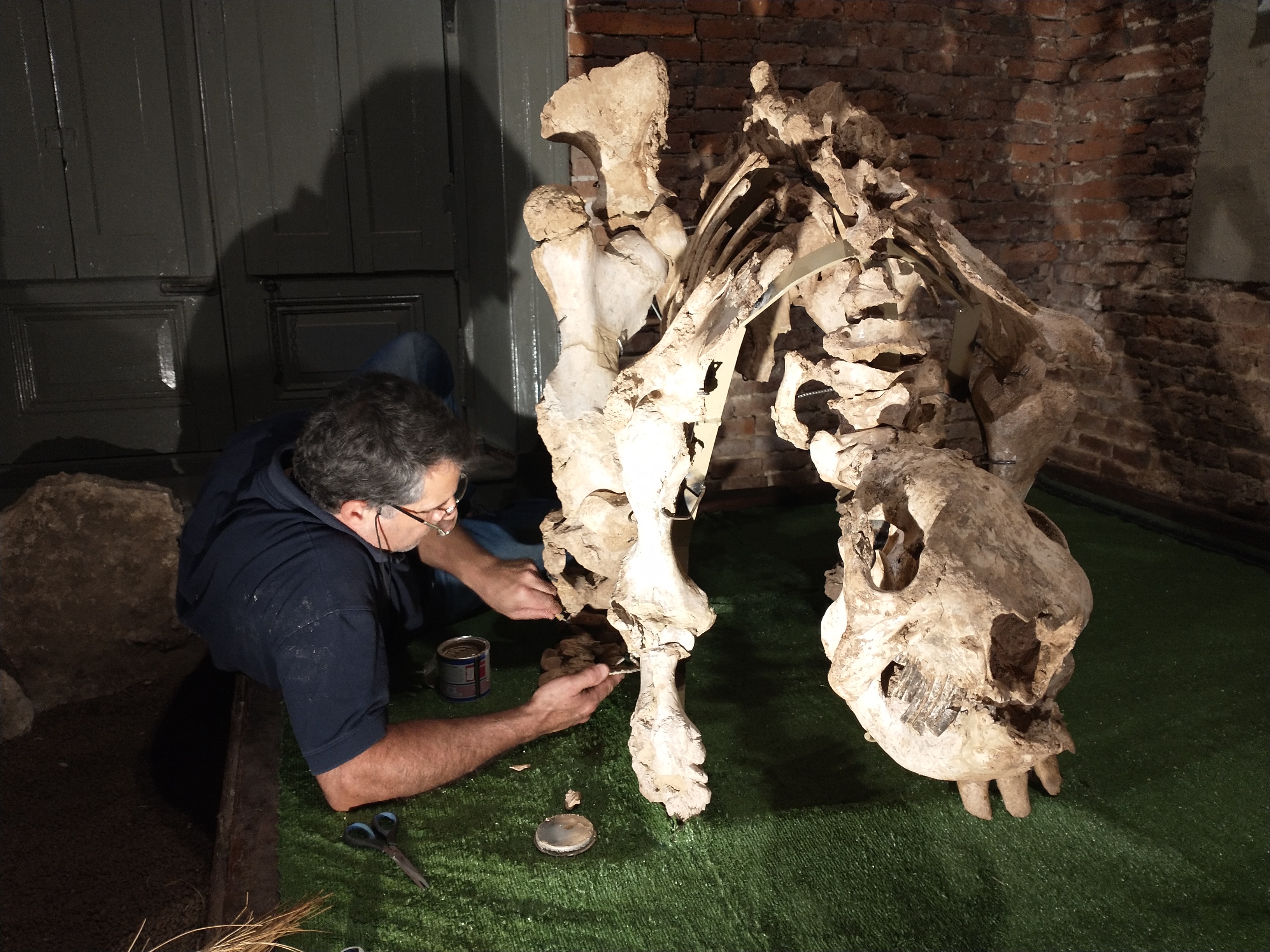 Cachorro de Glyptodon munizi