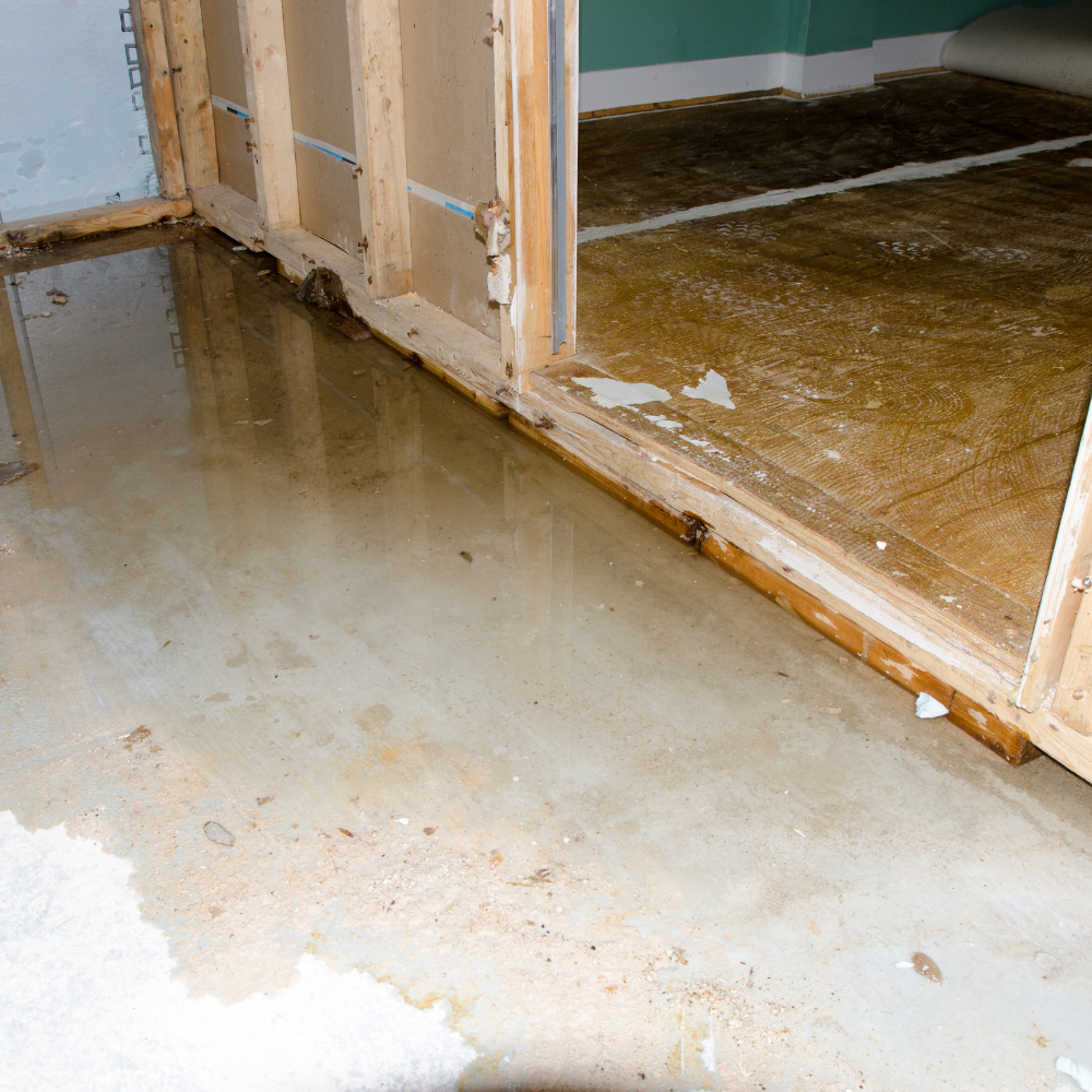 Water-damaged room with exposed framing and standing water on a concrete subfloor, highlighting the effects of severe flooding.