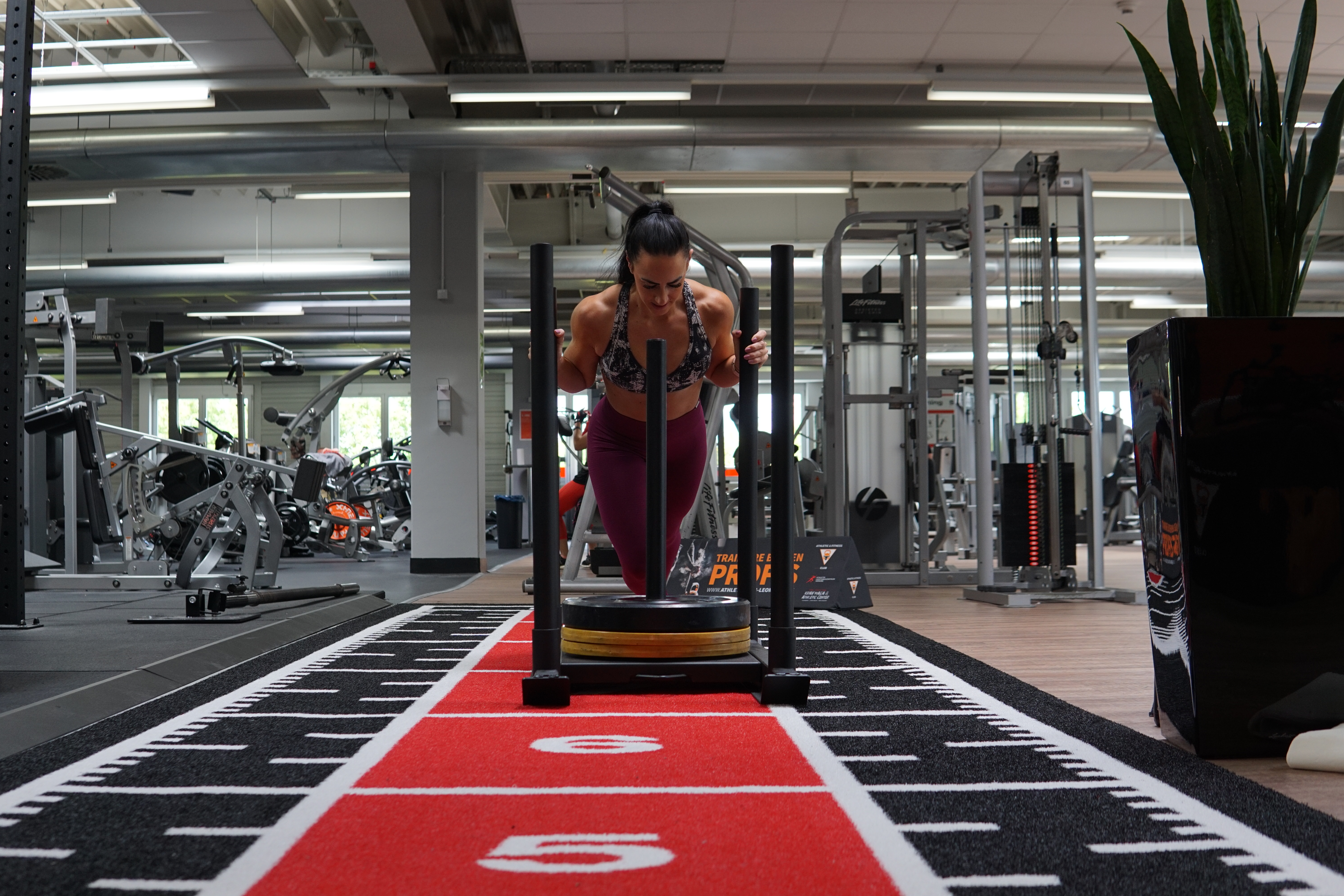 Training im Athletic & Fitness Club Gerlingen
