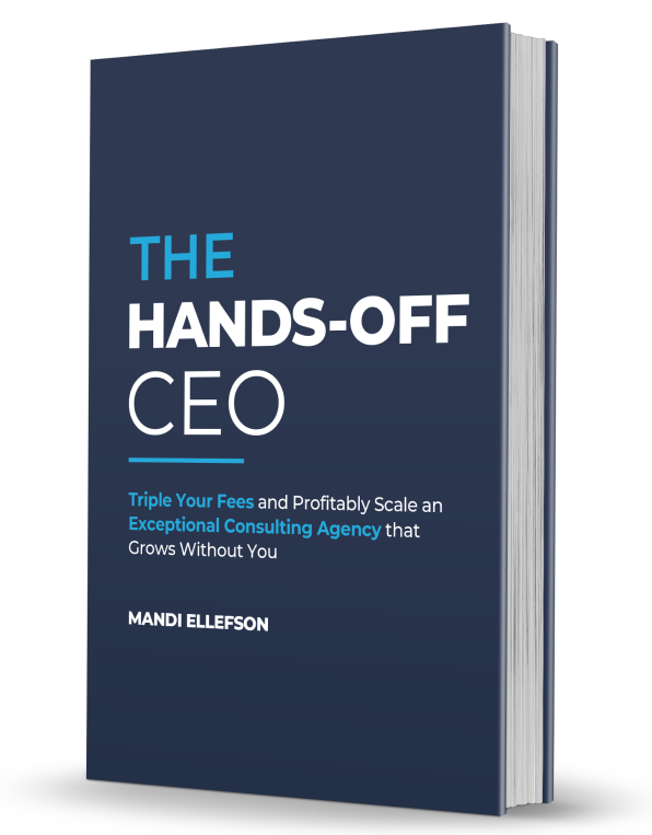 The Hands-Off CEO Book