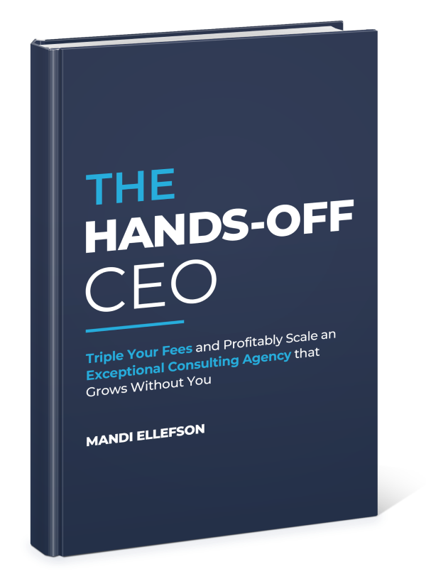 The Hands-Off CEO Book