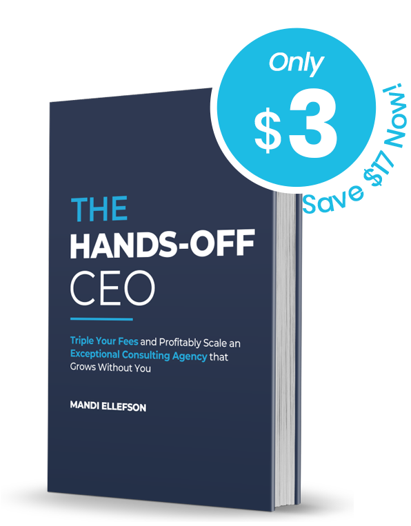 The Hands-Off CEO Book