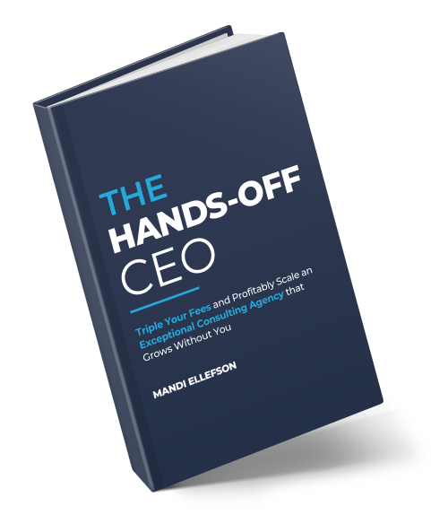 The Hands-Off CEO Book