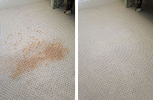 Carpet Cleaning