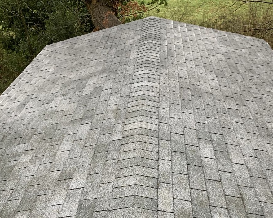 roof cleaning buckinghamshire