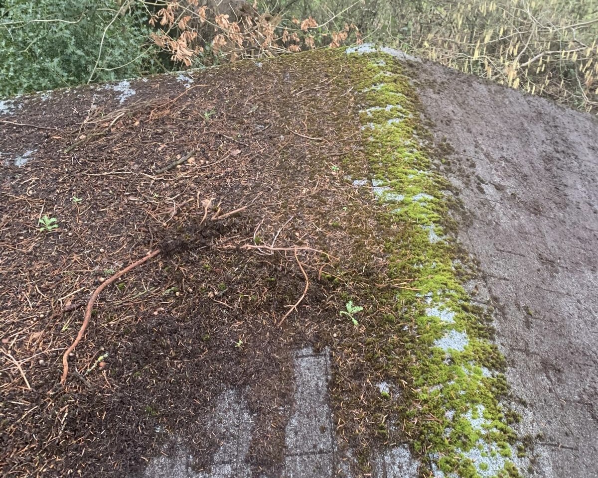 roof cleaning buckinghamshire