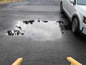 {{ custom_values.service_1 }} in {{custom_values.area_2})