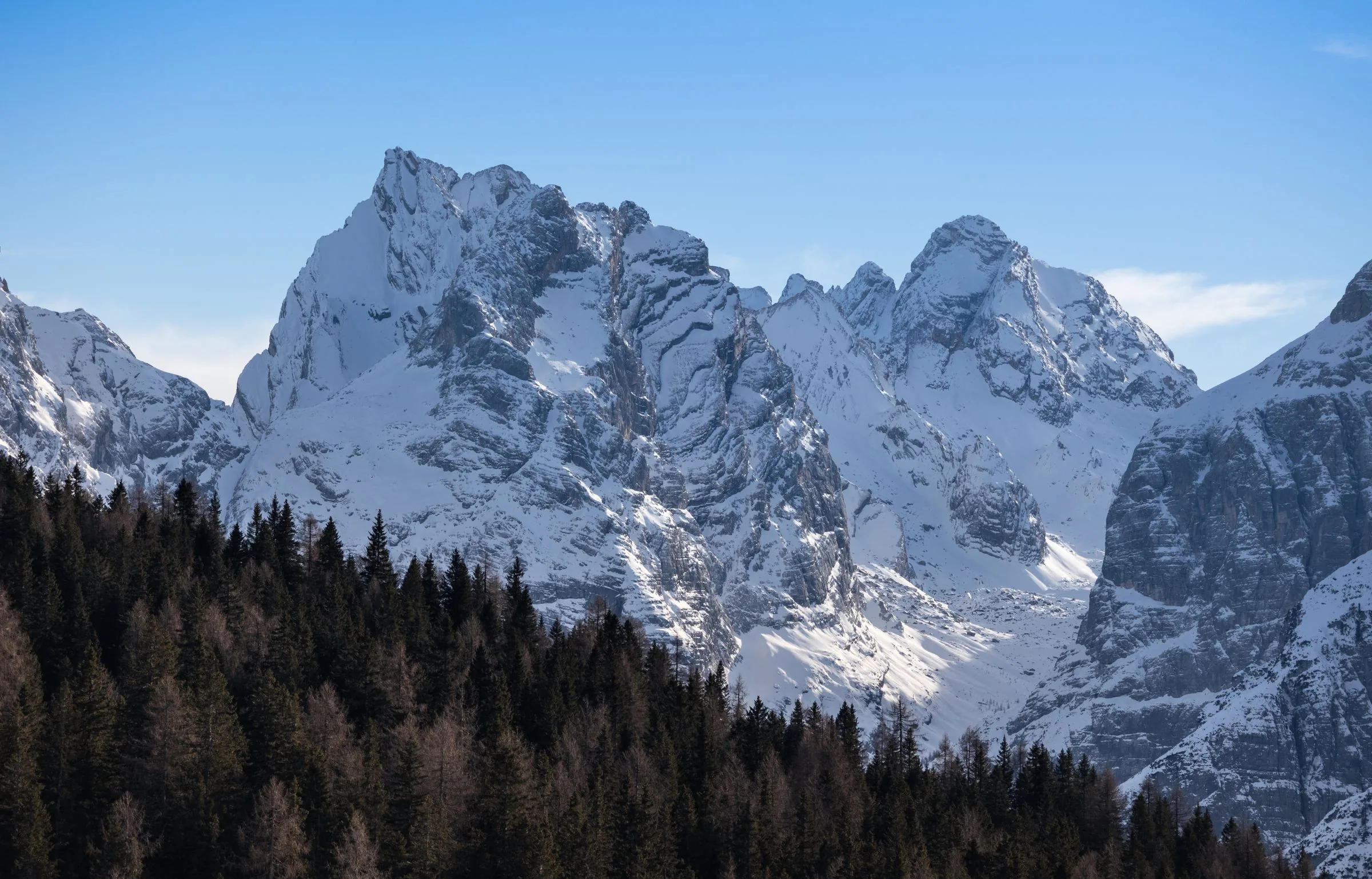 Cime innevate delle Dolomiti sopra un bosco di larici, Trentino-Alto Adige