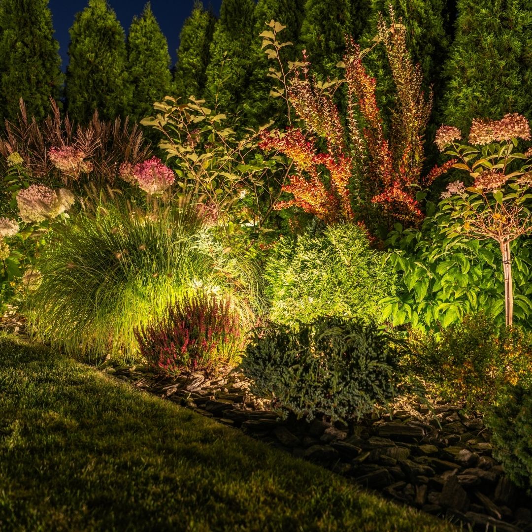 Professional grade LED landscape lighting fixtures by Bergman Nurseries