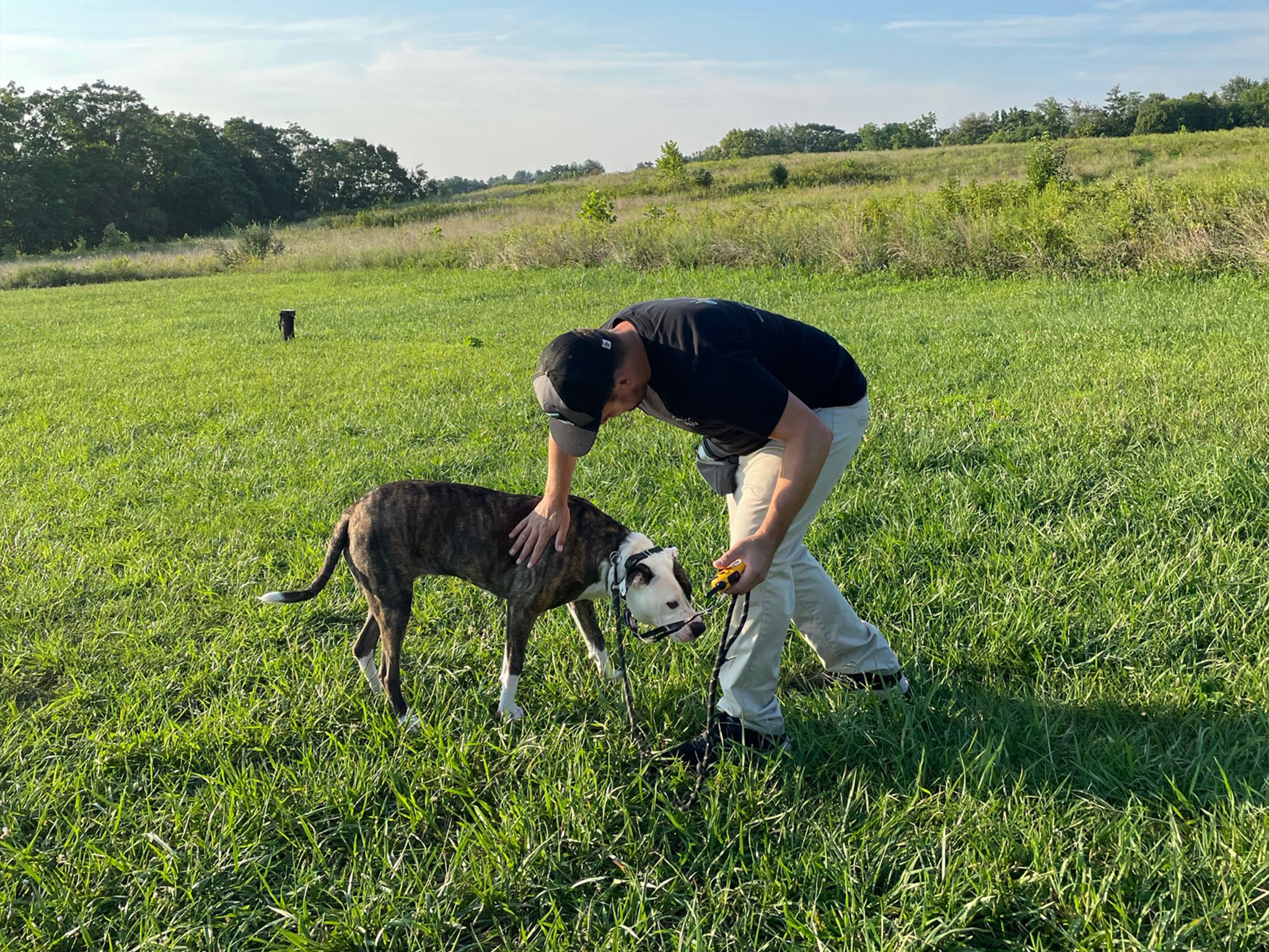 puppy-boarding