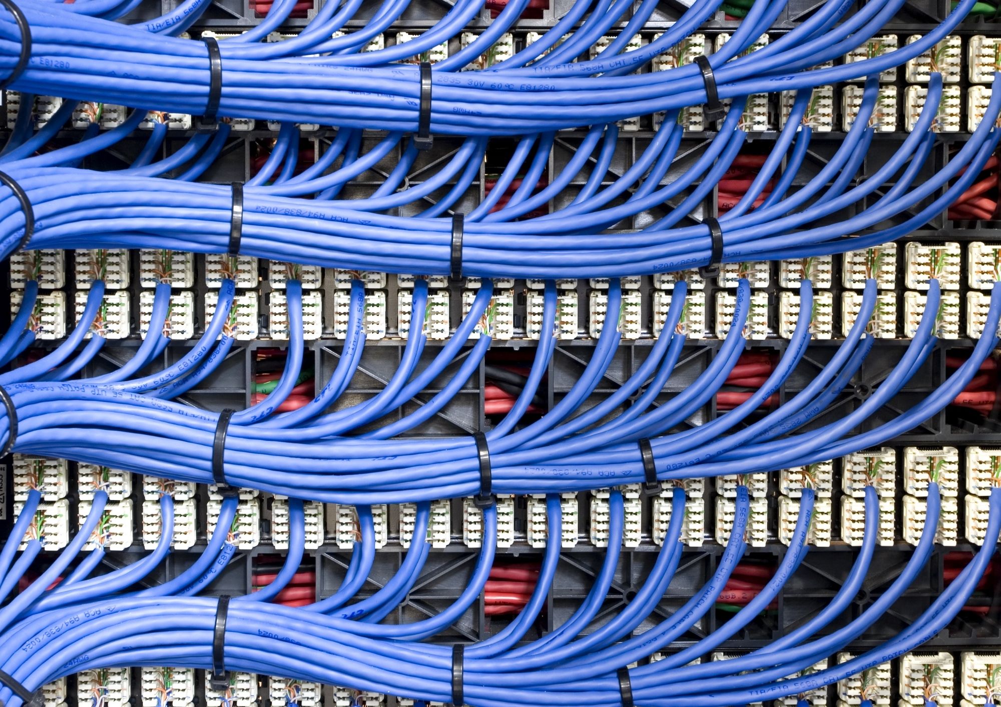 CAT6A data drops terminated on a patch panel in a commercial office network rack
