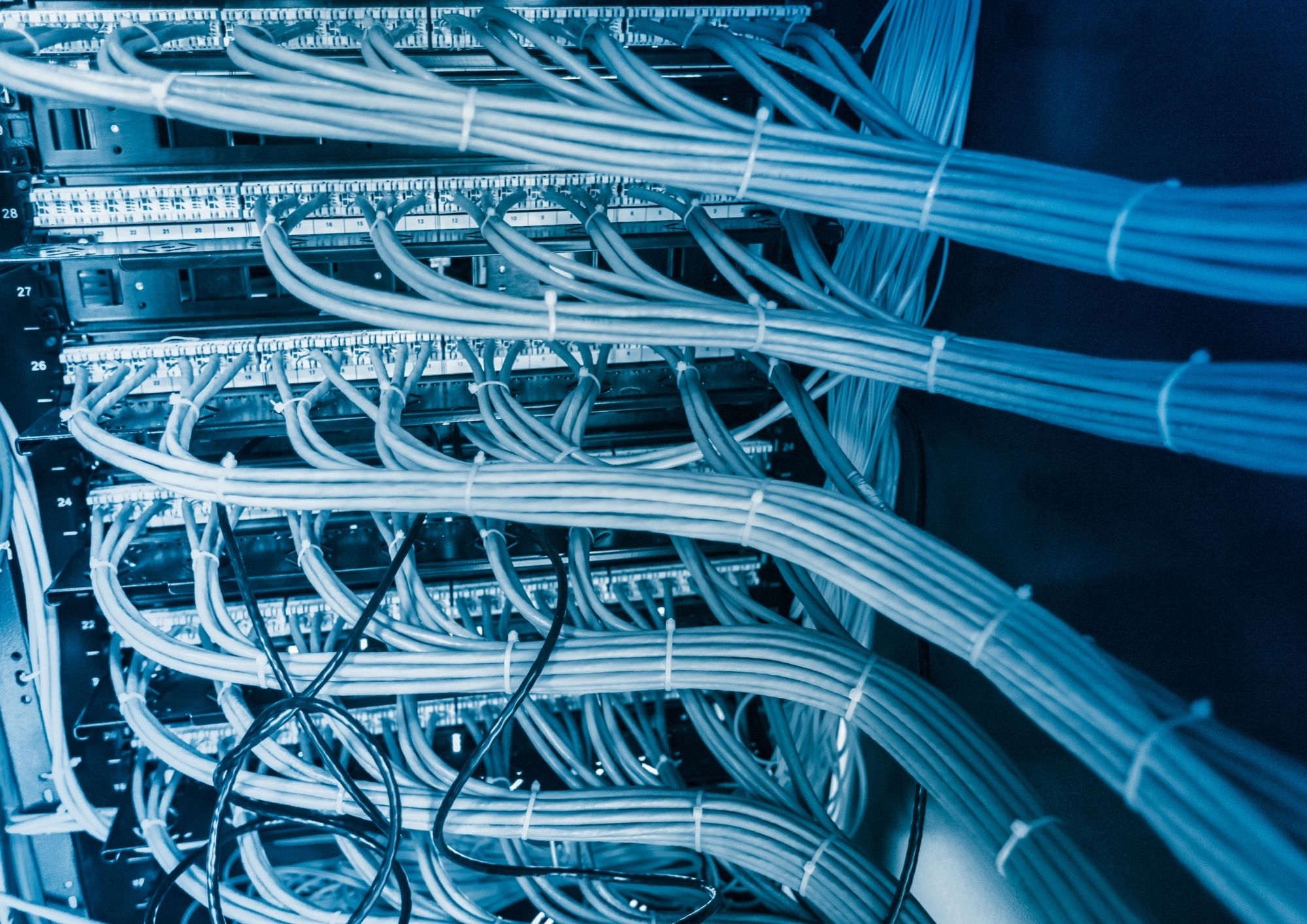 CAT6A structured cabling terminated on a patch panel in a New York office network rack