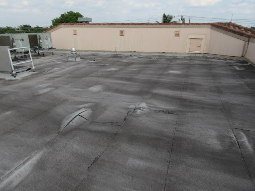 Roof Blisters: When to Repair vs. Monitor | BEM