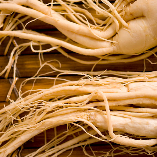 exi-asian-ginseng